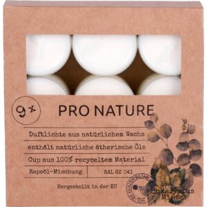 müller Kerzen Duftkerze Eukalyptus & Minze 9 Stück