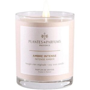 Plantes & Parfums Duftkerze Intensiver Amber 180 g