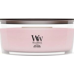 Woodwick Duftkerze Rose Blush Ellipse