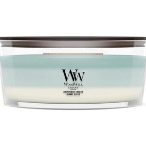 Woodwick Duftkerze Driftwood Shores Trilogy Ellipse