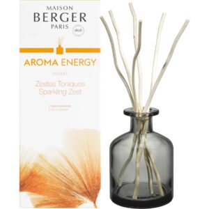 Maison Berger Duftstäbchen Aroma Energy- Zestes Toniques 180 ml