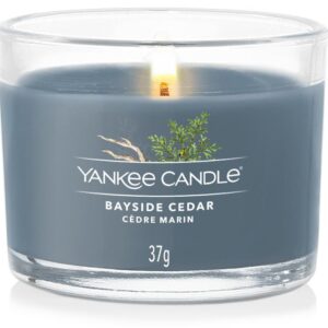 Yankee Candle Duftkerze Bayside Cedar 37 g