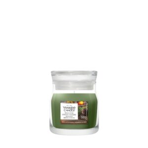 Yankee Candle Signature Duftkerze Balsam & Cedar Signature Small Jar