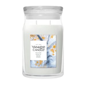 Yankee Candle Signature Duftkerze Silver Birch Signature Large Jar