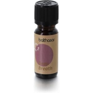 balthasar Duftöl 10 ml Pfefferminze/Zitrone 10 ml 1 Stück