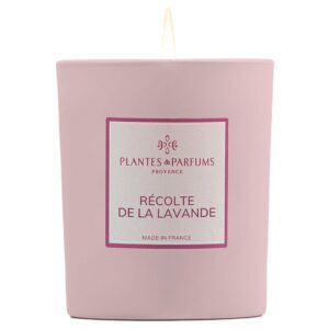 Plantes & Parfums Duftkerze Lavendel Ernte 180 g